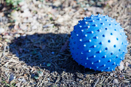 small blue ball with spikes lying on the groundの写真素材