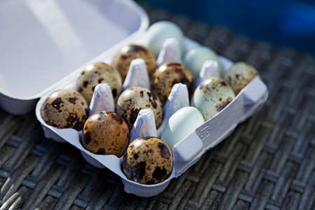 a package of fresh quail eggs in different colorsの写真素材