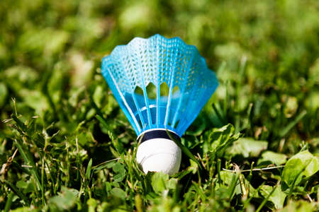 a badmington ball has landed in the summer grassの写真素材