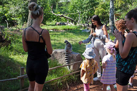 Gavle, Norrland Sweden - July 12, 2021: tourists trying to feed a lemur