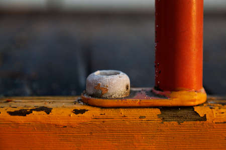 rubber-covered screw infested with mold and fungusの写真素材