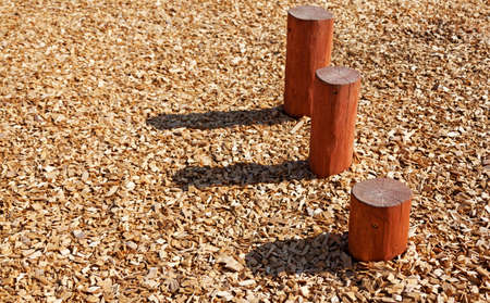 three logs sticking out of the ground that you can walk on