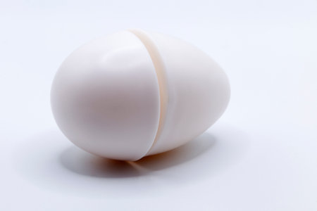 a toy egg that can be split in half on a white background