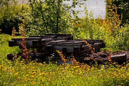 summer meadow with old wooden boxes and trashの写真素材