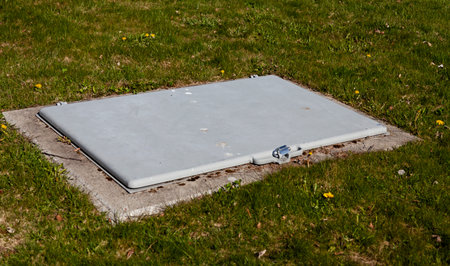 A gray concrete cellar door or basement entrance set in a concrete foundation, surrounded by lush...