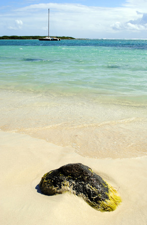 Le Gallion Beach St Maartenの写真素材