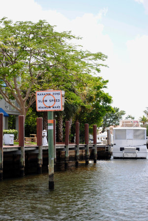 manatee zoneのeditorial素材