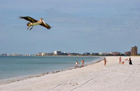 Madeira Beach Floridaのeditorial素材