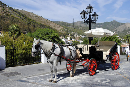 Horse and carriage in Mijasのeditorial素材