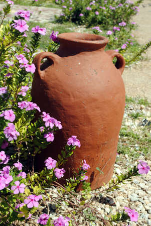 garden potの写真素材