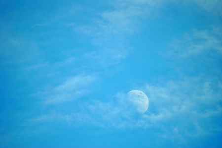 Half moon in Floridaの写真素材