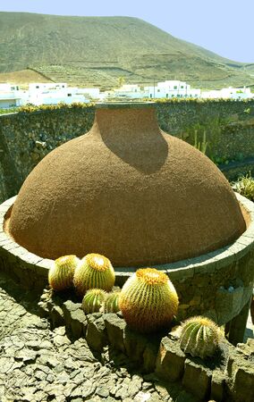 Cactus garden in Guatiza, Lanzarote one of the Canary Islandsの写真素材