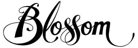 Vector version of my own calligraphyのイラスト素材