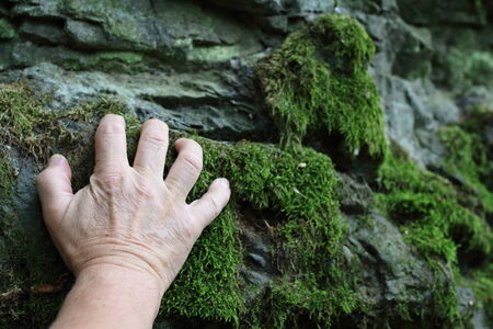 Hand auf Mossの写真素材
