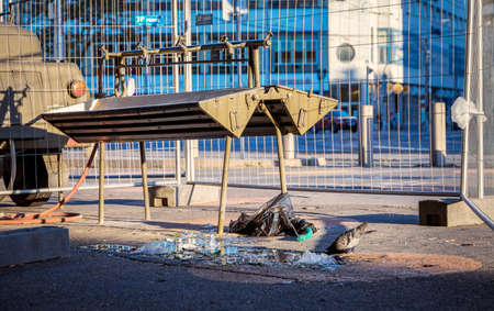 Pigeon drinking water that leaked from a military water supplyの写真素材