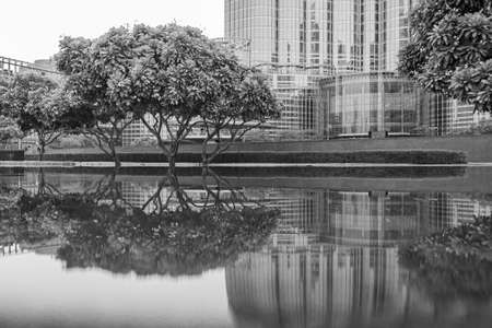 Symmetrical reflection of trees and skyscraper in waterの写真素材
