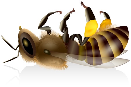 Dead Honey Beeのイラスト素材