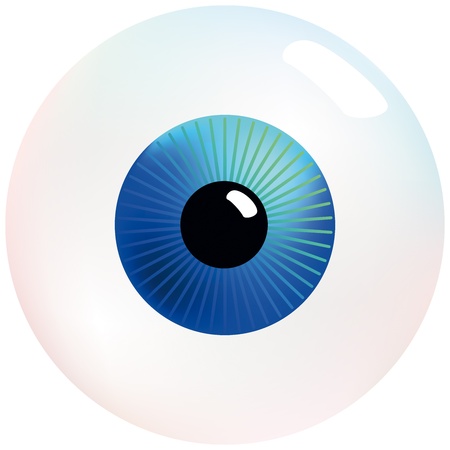 Eyeball with blue and turquoise colored iris, that stares at you  Isolated vector on white background のイラスト素材