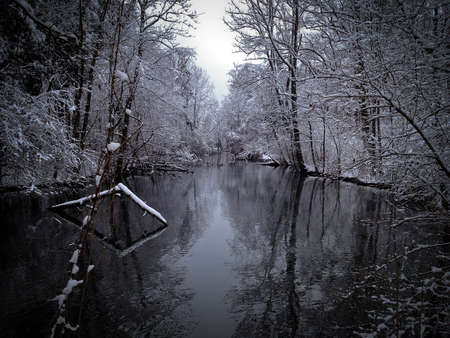 Tranquil river landscape with snow-covered branches on a gloomy winter evening 