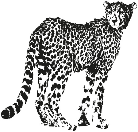 Leopard - Big cat shaped from black spots - optical illusion のイラスト素材