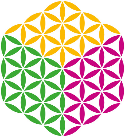Flower of Life Cube, created with three different colors  Isolated vector illustration on white background のイラスト素材