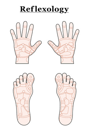 Hands and feet divided into the reflexology areas of the corresponding internal organs and body parts. Outline vector illustration over white background.のイラスト素材