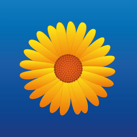 Yellow aster on blue sky background. Vector illustration.のイラスト素材