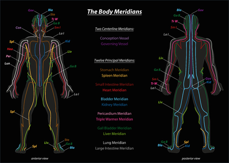 Meridian system chart of TCM Traditional Chinese Medicine. Isolated illustration on black background.のイラスト素材