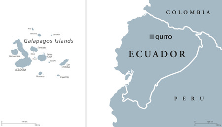 Ecuador political map with capital Quito and the Galapagos Islands in the Pacific Ocean. Republic in South America. Gray illustration with English labeling on white background. Vector.のイラスト素材