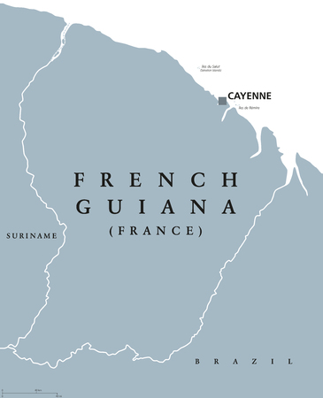 French Guiana political map with capital Cayenne and borders. Overseas department and region of France, located in South America. Gray illustration on white background. English labeling. Vector.のイラスト素材