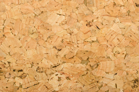 Cork sheet surface with coarse texture, comprised of rough grained cork oak, Quercus suber. Decorative panels and veneers, used as bulletin boards, floor and wall tiles. Top view. Macro photo.の写真素材