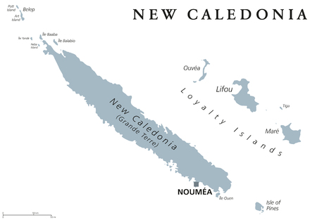 New Caledonia political map, capital Noumea. Collectivity of France in Pacific Ocean. Archipelago. Main Island Grand Terre and Loyalty Islands. English labeling. Gray illustration over white. Vector.のイラスト素材