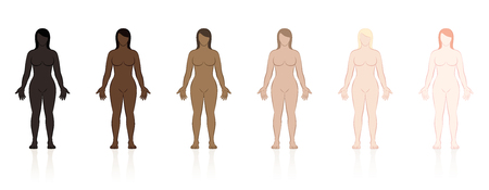 Skin types. Six naked women of different ethnic colors from black to brown to fair. Isolated vector illustration on white background.のイラスト素材