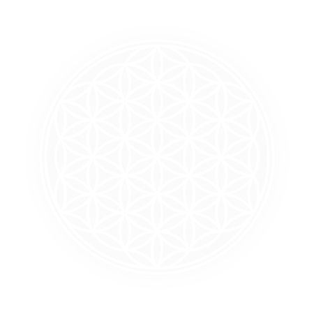 White Flower of Life, bright light background vector illustration.のイラスト素材