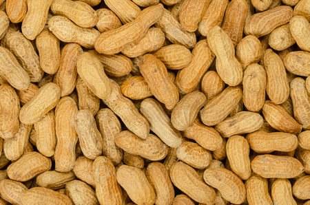 Peanuts with shell, background, close up. Also groundnut or goober. Pile of unshelled dry roasted...