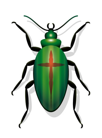 Beetle with cross, symbolic for extinction of species and for for decline in insect populations. Isolated vector illustration on white background.のイラスト素材