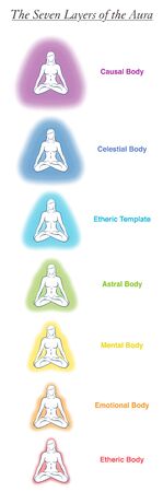Seven aura bodies chart of a meditating yoga woman. Labeled chart - etheric, emotional, mental, astral, celestial and causal layer an template. Different rainbow colored auras. Vector white.のイラスト素材