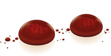 Rhesus factor, two labelled blood drops, Rh  and Rh- on whiteのイラスト素材