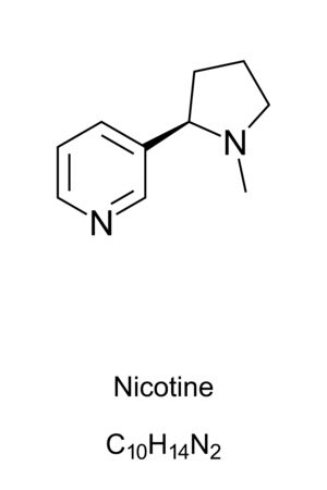 Nicotine molecule skeletal formula. 2D structure of C10H14N2, an addictive stimulant and alkaloid dried tobacco leaves for cigarettes and cigars. Structural formula. Illustration over white. Vector.のイラスト素材