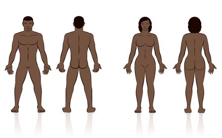 HUMAN BODY - naked black man and woman, front and back view.のイラスト素材