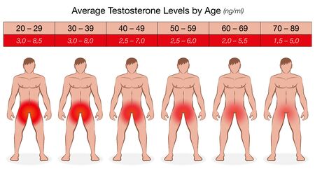 Testosterone chart with increasing age and decreasing values in ng / ml. Illustrated naked men with fading red color and libido. Vector on white.のイラスト素材