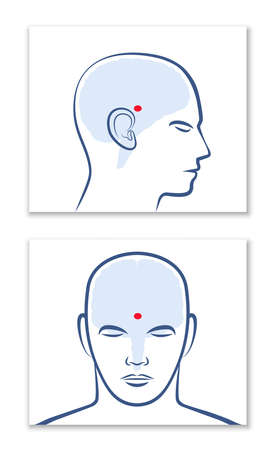 PINEAL GLAND or THIRD EYE. Lateral and frontal view with position in the human brain. Isolated vector graphic illustration on white background.のイラスト素材