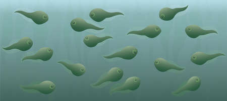 Tadpoles swimming in the green pond. Vector comic illustration.のイラスト素材