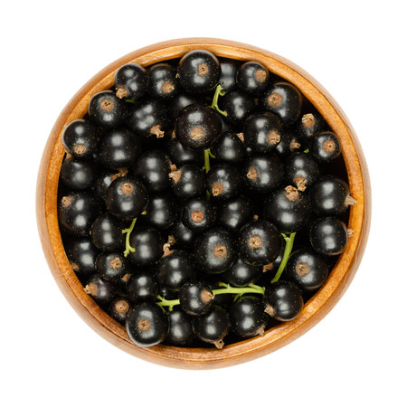 Blackcurrant berries, in a wooden bowl. Fresh, ripe black currant berries, also known as cassis, spherical edible fruits of Ribes nigrum. Sweet and small glossy fruits with strong, tart flavor. Photo.の写真素材