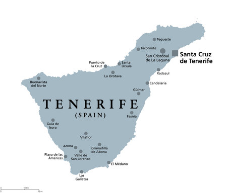 Tenerife island, gray political map, with capital Santa Cruz de Tenerife. Largest and most populous island of Canary Islands, archipelago and autonomous community of Spain in the North Atlantic Ocean.のイラスト素材