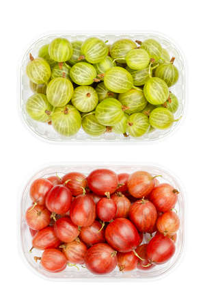 Green and red gooseberries, in plastic containers. Fresh ripe berries, fruits of Ribes, known as European gooseberry, with sourish sweet taste. Close-up, from above, isolated over white, food photo.の写真素材