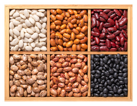 Variety of dried common beans, pulse assortment in a wooden box. White navy, Dutch brown, kidney, pinto, cranberry and black turtle beans. Phaseolus vulgaris seeds, in a wooden conの写真素材