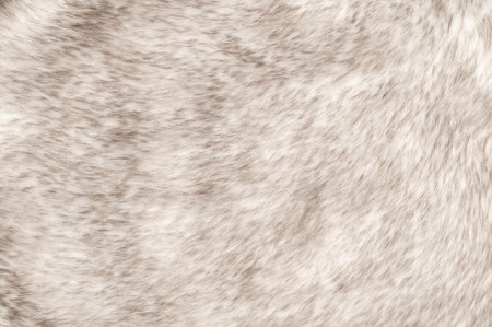 White wolf fake fur, surface and background, from above. Faux fur made of synthetic fibers. Pile of fabric and animal-friendly alternative to traditional fur clothing.の写真素材