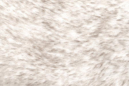 White wolf fake fur, surface, close-up, from above. Faux fur made of synthetic fibers. Pile of...