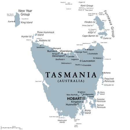 Tasmania, island state of Australia, gray political map. Located south of the Australian mainland, surrounded by thousand islands, with the capital and largest city Hobart.のイラスト素材